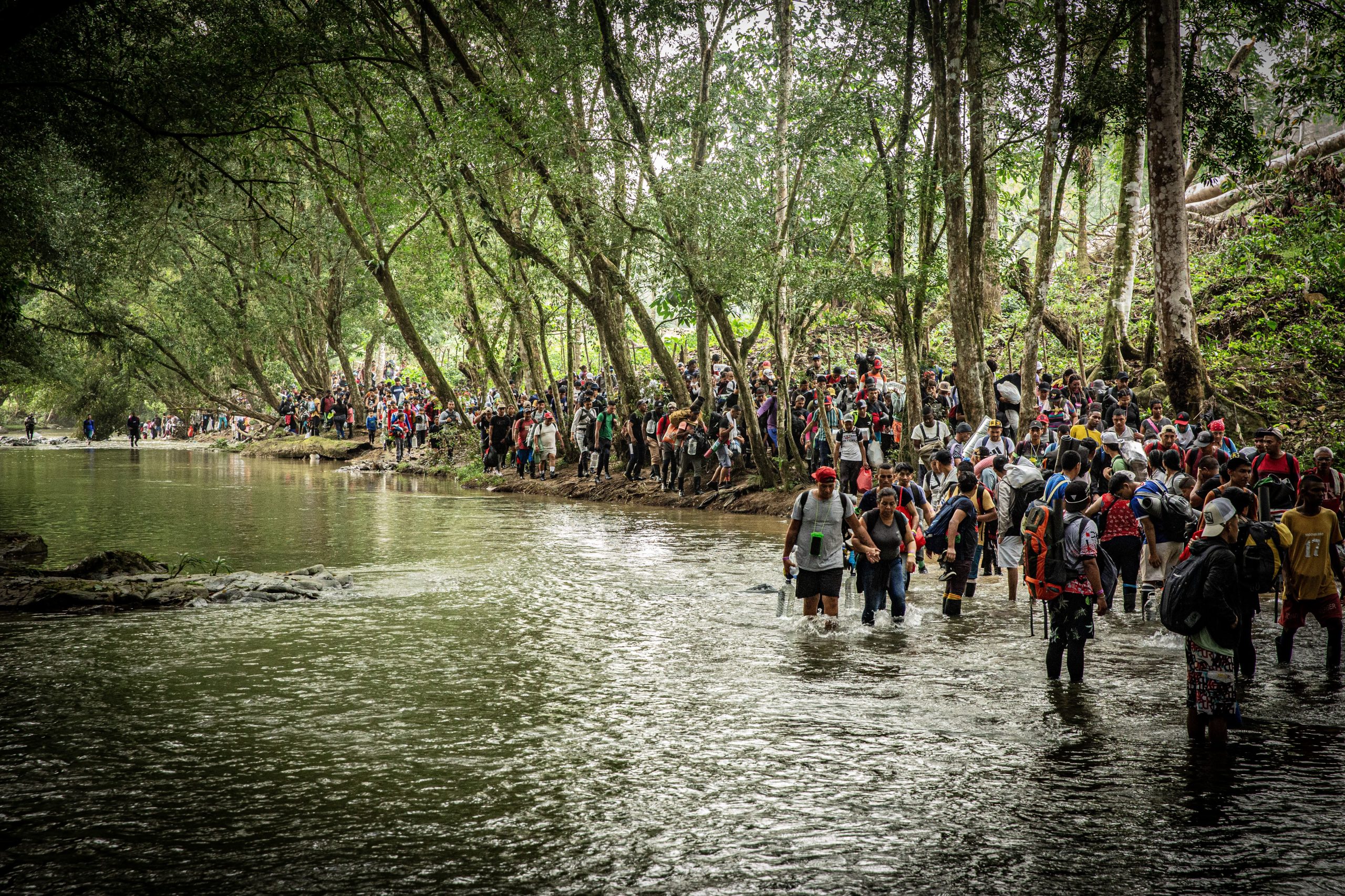 Tapón del Darién: medio millón de migrantes cruza la selva impenetrable -  Médicos Sin Fronteras Argentina | Organización médico-humanitaria