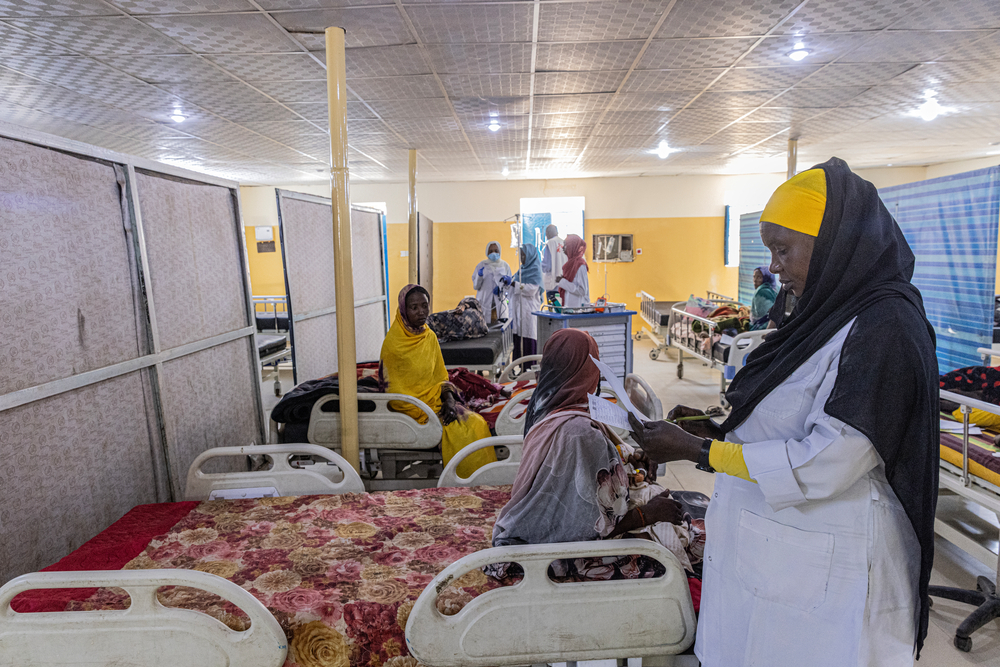 Sistema sanitario sudanés 