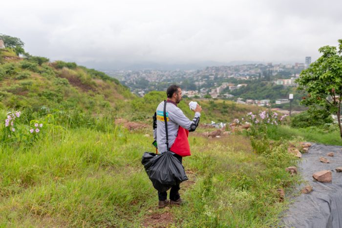 liberación de wolbachia contra el dengue en honduras